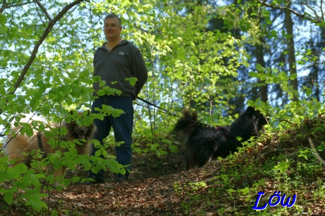 20.4.2025 - Im Heubergwald